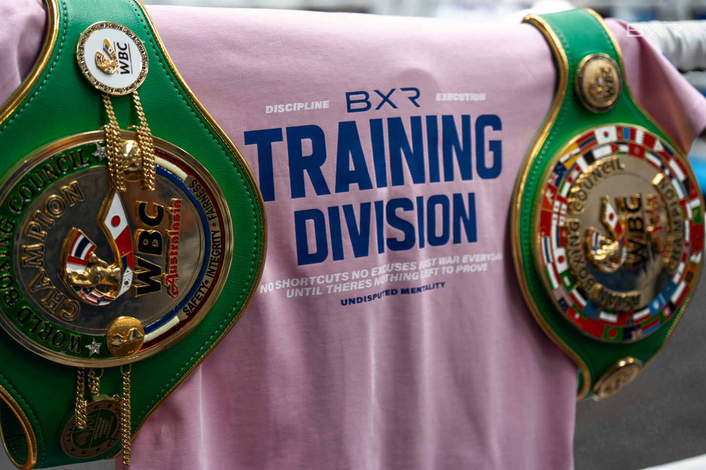 Training Division Pink Tee - Blue/White
